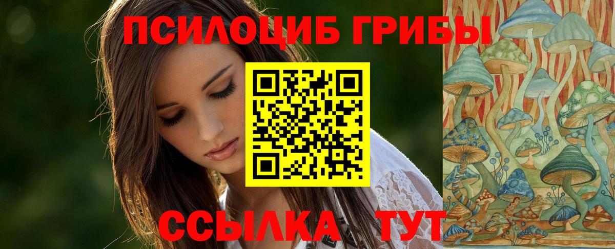 Псилоцибиновые грибы ЛСД  Псилоцибиновые грибы прущие грибы  Волжск  Вход с VPN 